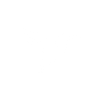 The Hummingbird